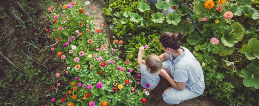 €5,000 for Milford Health & Wellbeing Garden – MILFORD & DISTRICT